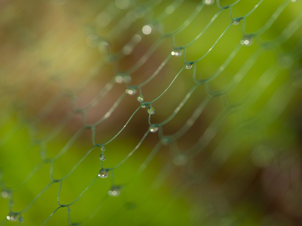 Goutte d'eau