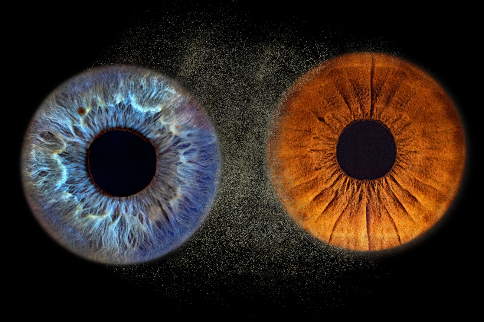 094a7857-fusion.jpg