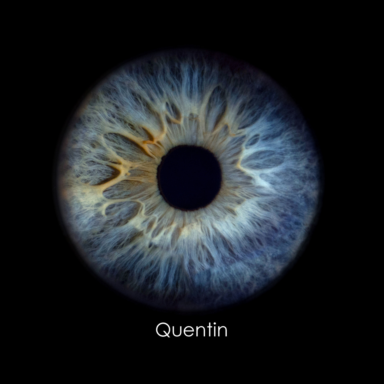 094a4455-quentin.jpg